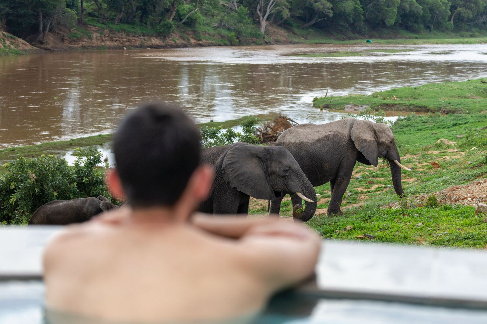 Guest relaxing in a pool while observing elephants by the river.